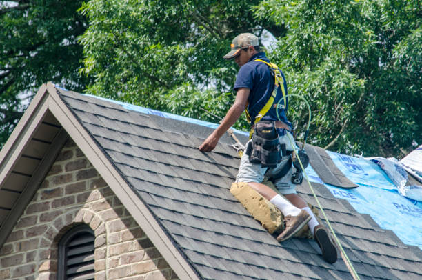 Best Local Roofing Companies  in Fruitdale, CA